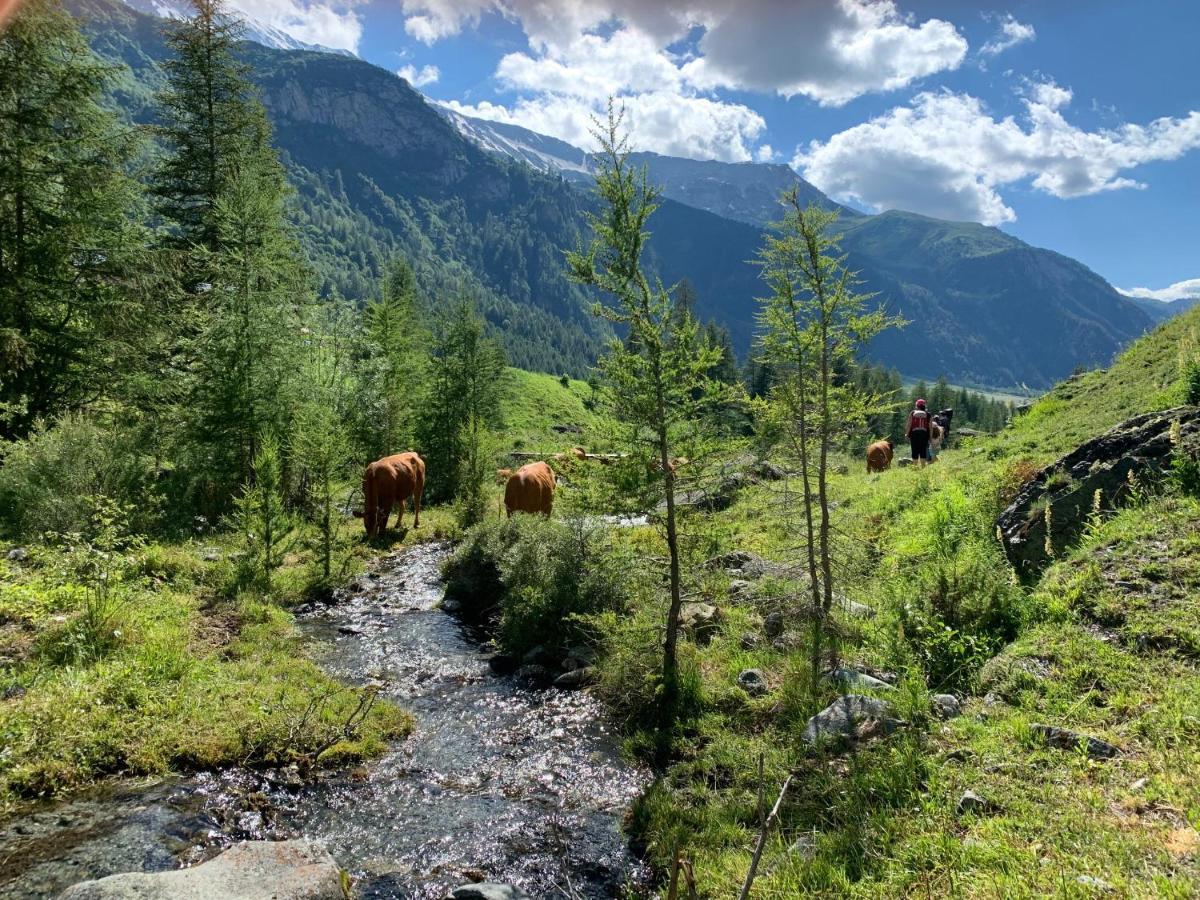 Hotel Emeraude Peisey-Nancroix Dış mekan fotoğraf