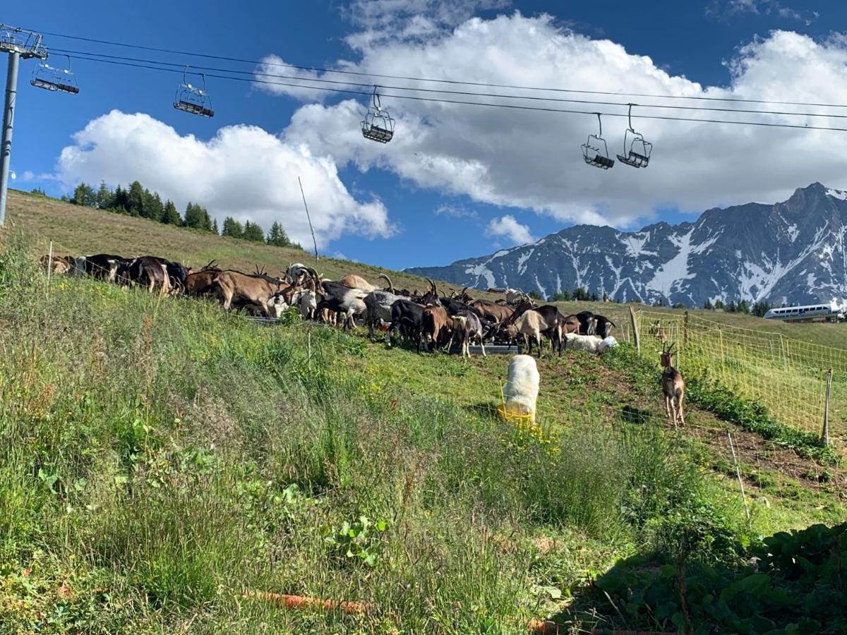 Hotel Emeraude Peisey-Nancroix Dış mekan fotoğraf